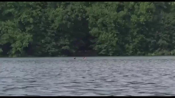 Голые девушки на озере (85 фото)