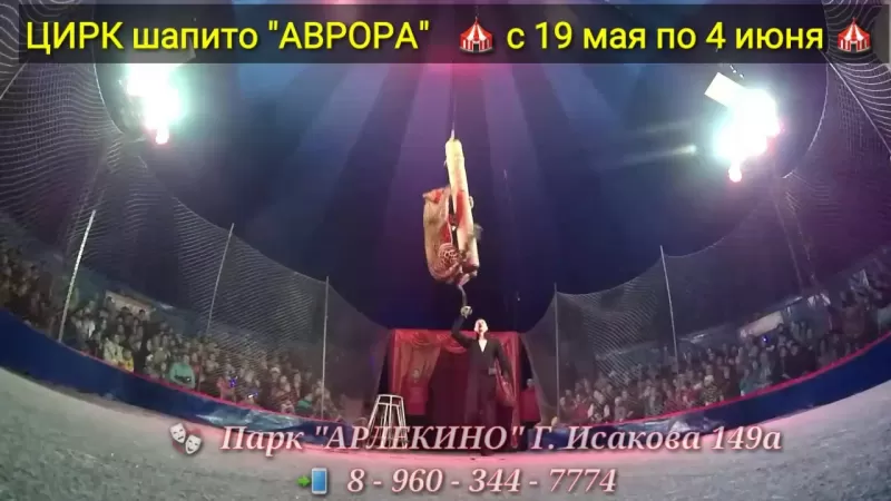 Цирк шапито аврора порно видео